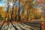 آسمان گیلان آفتابی می شود
