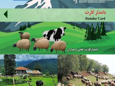 دامداران برای دریافت دامدار کارت اقدام کنند