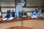 ۲۴ استان کشور درگیر مبارزه با آفت ملخ مراکشی