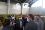 در حال حاضر، روغن مصارف خانگی مهم ترین اولویت است/ زنجیره های تامین برای جبران کسری روغن در گیلان فعال شدند