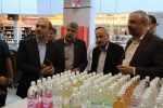 ۳۲۸ هزار نفر در کسب و کار صنفی گیلان اشتغال دارند