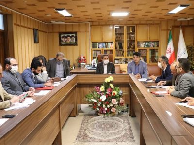 ادامه سیاست های تشویقی واحدهای نانوایی منتخب/ تعیین تکلیف واحدهای خبازی فاقد پروانه
