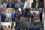 لزوم‌ شناسنامه دار کردن باغات زیتون در گیلان/ شهرستان رودبار بعنوان قطب تولید زیتون نیازمند توجه بیشتر است