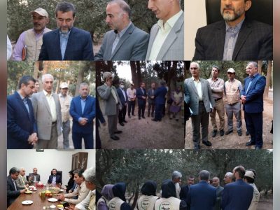 لزوم‌ شناسنامه دار کردن باغات زیتون در گیلان/ شهرستان رودبار بعنوان قطب تولید زیتون نیازمند توجه بیشتر است