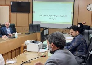 نخستین جشنواره چندقلوها در استان گیلان در هفته ملی جمعیت برگزار می شود