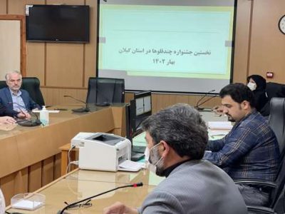نخستین جشنواره چندقلوها در استان گیلان در هفته ملی جمعیت برگزار می شود