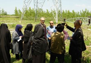 آغاز عملیات اجرایی نصب برج خط چهار مداره غرب رشت – انزلی – پره سر
