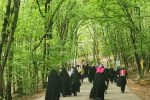پیاده روی خبرنگاران گیلانی با نشست جهاد تبیین در دل طبیعت