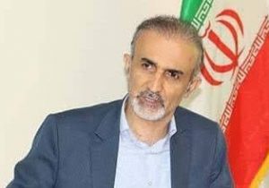 دولت از زوج‌های نابارور برای فرزندآوری حمایت می‌کند
