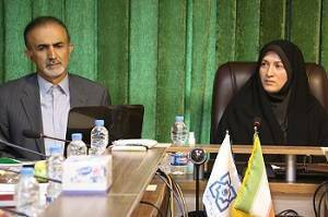 بیمه سلامت در حوزه جوانی جمعیت فراتر از تکالیف قانونی عمل کرده است/ ترغیب زوجین به فرزندآوری نیازمند اقدامات مشارکتی