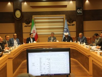 لزوم بهره‌مندی شبکه‌های بهداشت از ظرفیت نمایندگان مجلس در حوزه جوانی جمعیت/ ترویج فرزند آوری در مناطق، کم‌رنگ است