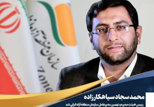 “محمدسجاد سیاهکارزاده” به عنوان رییس هیأت مدیره و مدیرعامل منطقه آزاد انزلی منصوب شد