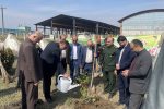 غرس نهال در شهرک صنعتی سفیدرود رشت