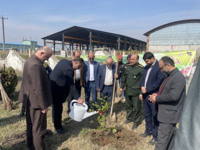 غرس نهال در شهرک صنعتی سفیدرود رشت