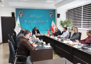 استقبال سرمایه‌گذاران چینی از بسته‌های سرمایه‌گذاری در منطقه آزاد انزلی
