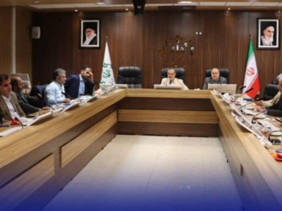 راه اندازی کمیته استانی ساماندهی سگ‌های بلاصاحب/ پل‌های عابر پیاده متولی مشخص دارند