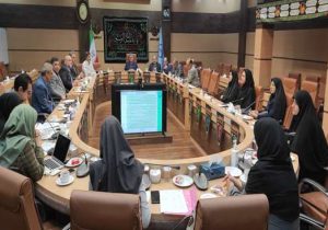بهره‌وری از سمن‌های فعال جوانی جمعیت تقویت شود