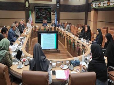 بهره‌وری از سمن‌های فعال جوانی جمعیت تقویت شود