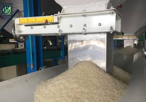 آغاز طرح نظارتی ویژه شالیکوبی در گیلان / نرخ تبدیل شلتوک به برنج سفید مصوب شد