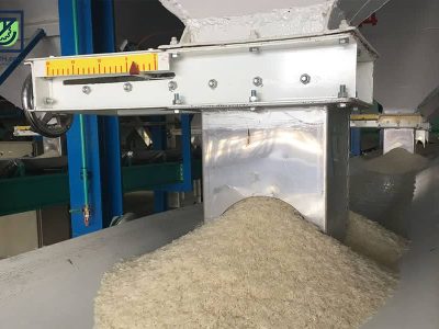 آغاز طرح نظارتی ویژه شالیکوبی در گیلان / نرخ تبدیل شلتوک به برنج سفید مصوب شد
