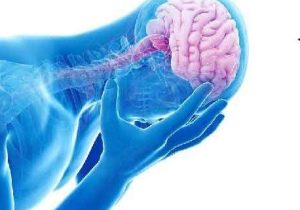 تاثیر افسردگی بر ساختار مغز 