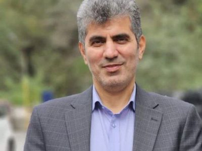 سطح زیر کشت دیم استان ۷۰ هزار هکتار است/ هفت شهرستان ظرفیت کشت گندم دارند