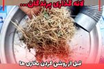 لانه گذاری پرندگان باعث انسداد مجرای دودکش ها نشود