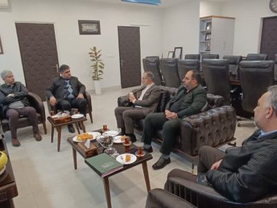 با ساخت و ساز غیرمجاز در حریم شهرها و روستاها به‌طور جدی مقابله می‌کنیم