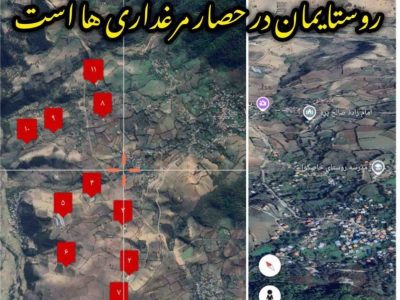 فعالیت بی‌رویه مرغداری‌ها زنگ خطری بر توسعه روستا و محیط زیست!