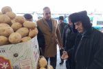 ۵۰۰ تن سیب‌زمینی به گیلان وارد شد