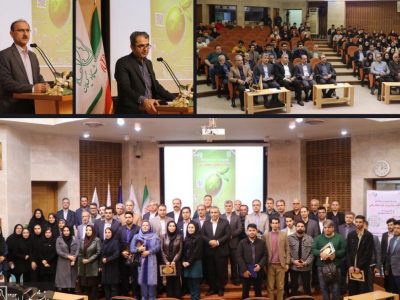 اولین رویداد سرمایه‌گذاری در حوزه صنعت زیتون در دانشگاه گیلان برگزار شد