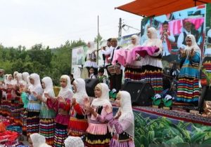 برداشت برگ سبز چای جشنی به رنگ طراوت و زندگی در لنگرود