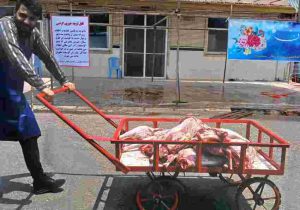 قربانی عشق؛ قلب‌های بخشنده در آسایشگاه