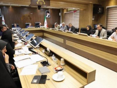 بازنگری در لایحه ساماندهی مشاغل سیار خودرویی و گاری کبابی ها