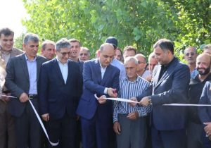 بهره‌وری در تولید برنج، ضرورتی اجتناب‌ناپذیر برای گیلان