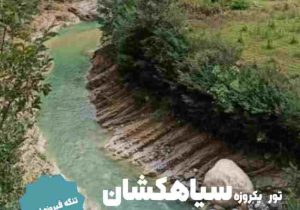 تور یک‌روزه «سیاهکشان» برگزار می‌شود