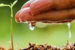 گیلان در مدار هشدار آبی؛ اصلاح الگوی مصرف یک انتخاب نیست