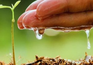 گیلان در مدار هشدار آبی؛ اصلاح الگوی مصرف یک انتخاب نیست