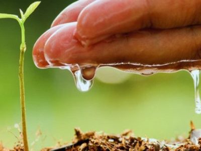گیلان در مدار هشدار آبی؛ اصلاح الگوی مصرف یک انتخاب نیست