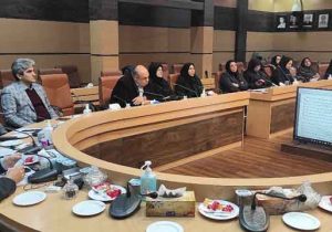 توسعه کلینیک‌های جامع و معرفی رشت به عنوان «شهر دوستدار سالمند»