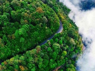 نجات معجزه‌آسای پیرمرد رشتی در جنگل‌های گیلان