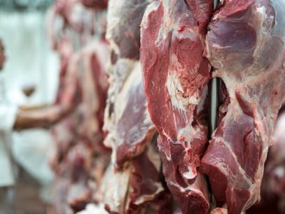 هشدار علوم پزشکی گیلان؛ گوشت تازه ذبح شده نخورید