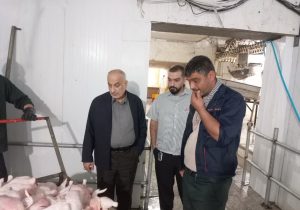 توقف گرانفروشی کشتارگران مرغ‌ در سیاهکل و صومعه سرا 