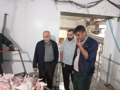 توقف گرانفروشی کشتارگران مرغ‌ در سیاهکل و صومعه سرا 