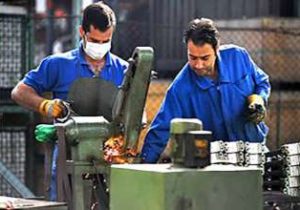 تشکیل ۸ تعاونی جدید در گیلان