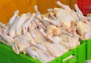 برخورد قاطع تعزیرات حکومتی گیلان با متخلفان حوزه مرغ 