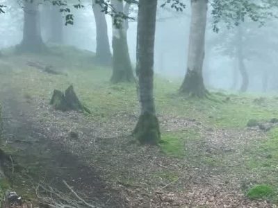 بازپسگیری نیم هکتار از اراضی ملی در تالش