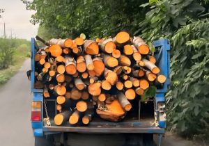 کشف و ضبط چوب آلات توسکا در لاهیجان