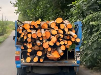 کشف و ضبط چوب آلات توسکا در لاهیجان