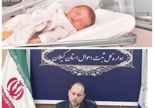 کاهش حدود ۵ درصدی موالید گیلان دربهار امسال